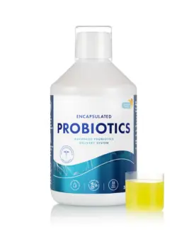 Probiotic Lichid – Complex cu Bifidobacterium lactis + Vitamina C + L-glutamină – Produs Vegan – Sticlă cu 500 ml