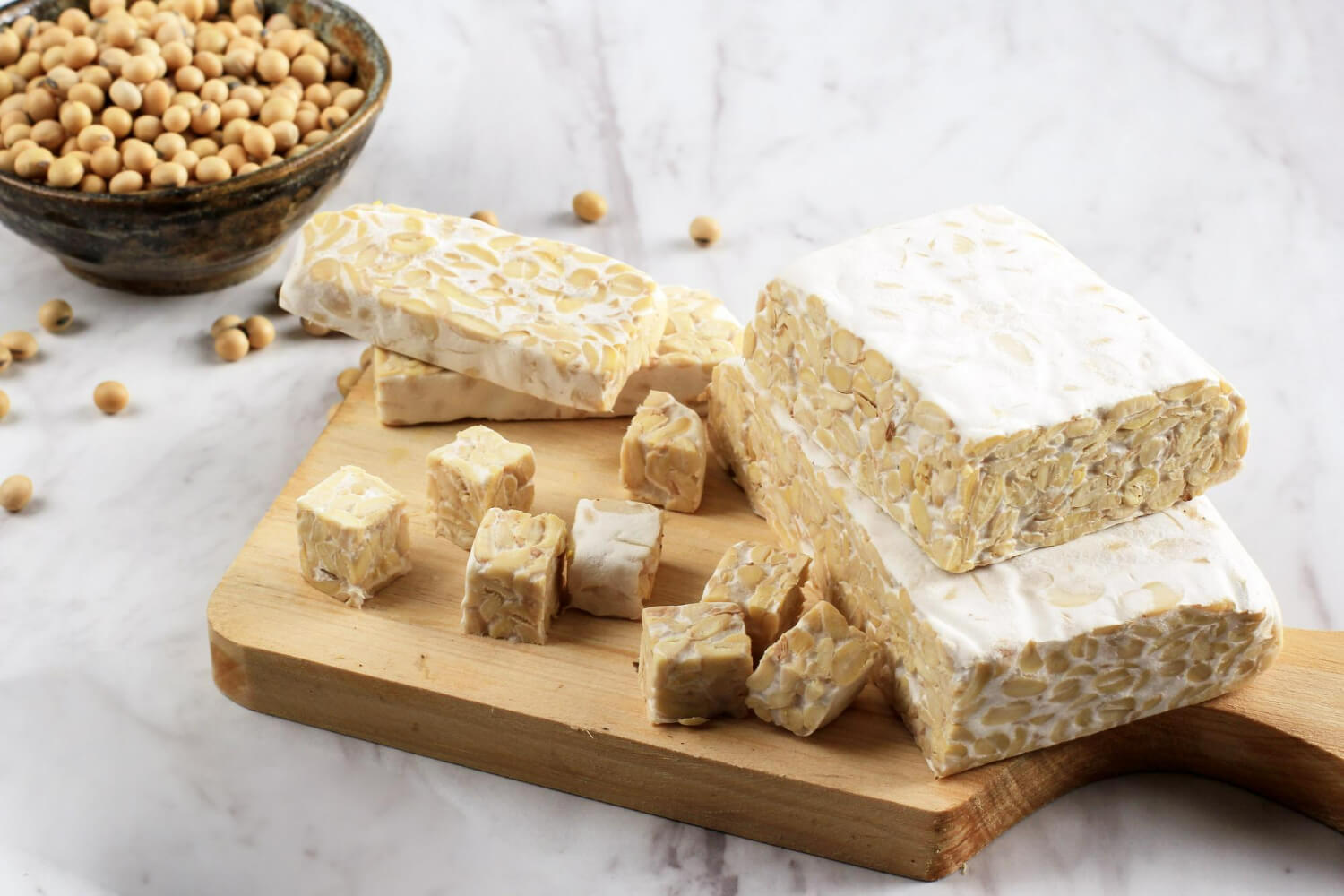 tempeh probiotic tempeh probiotic