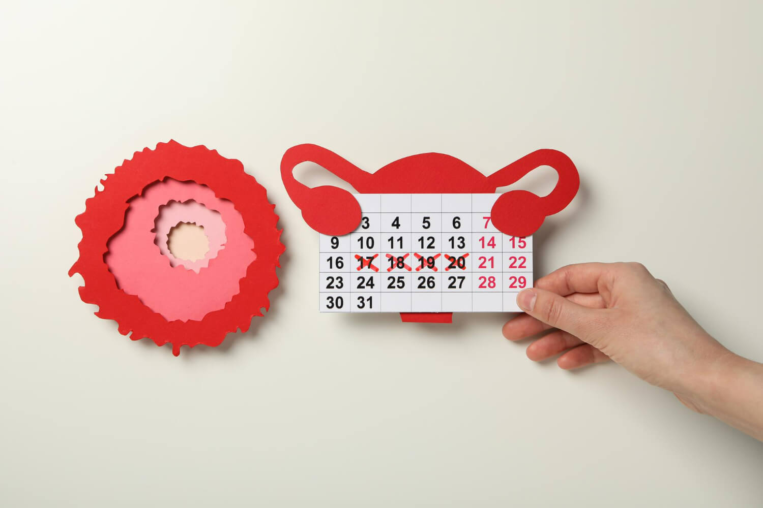etapele menopauzei etapele menopauzei