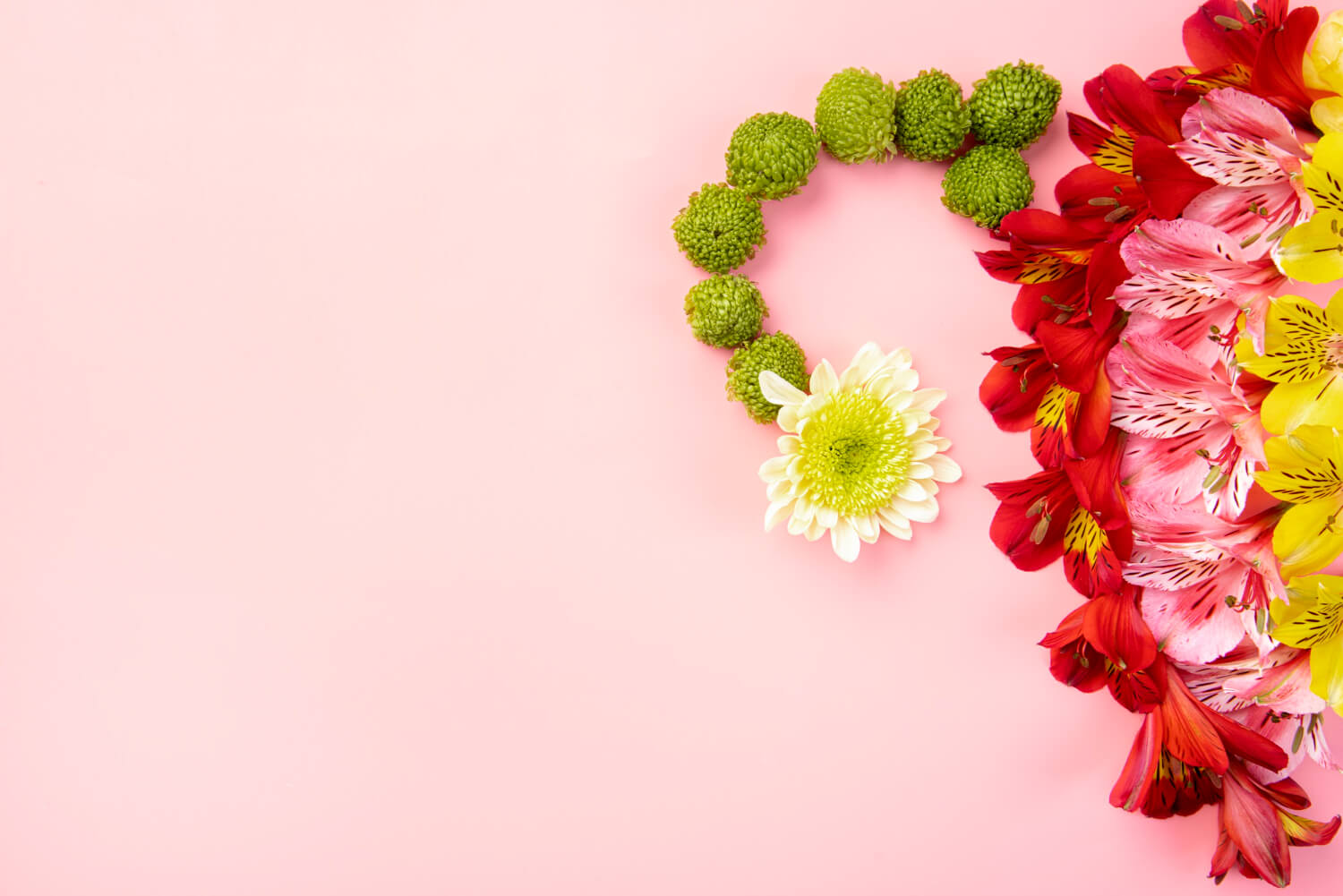 terapie naturista menopauza terapie naturista menopauza