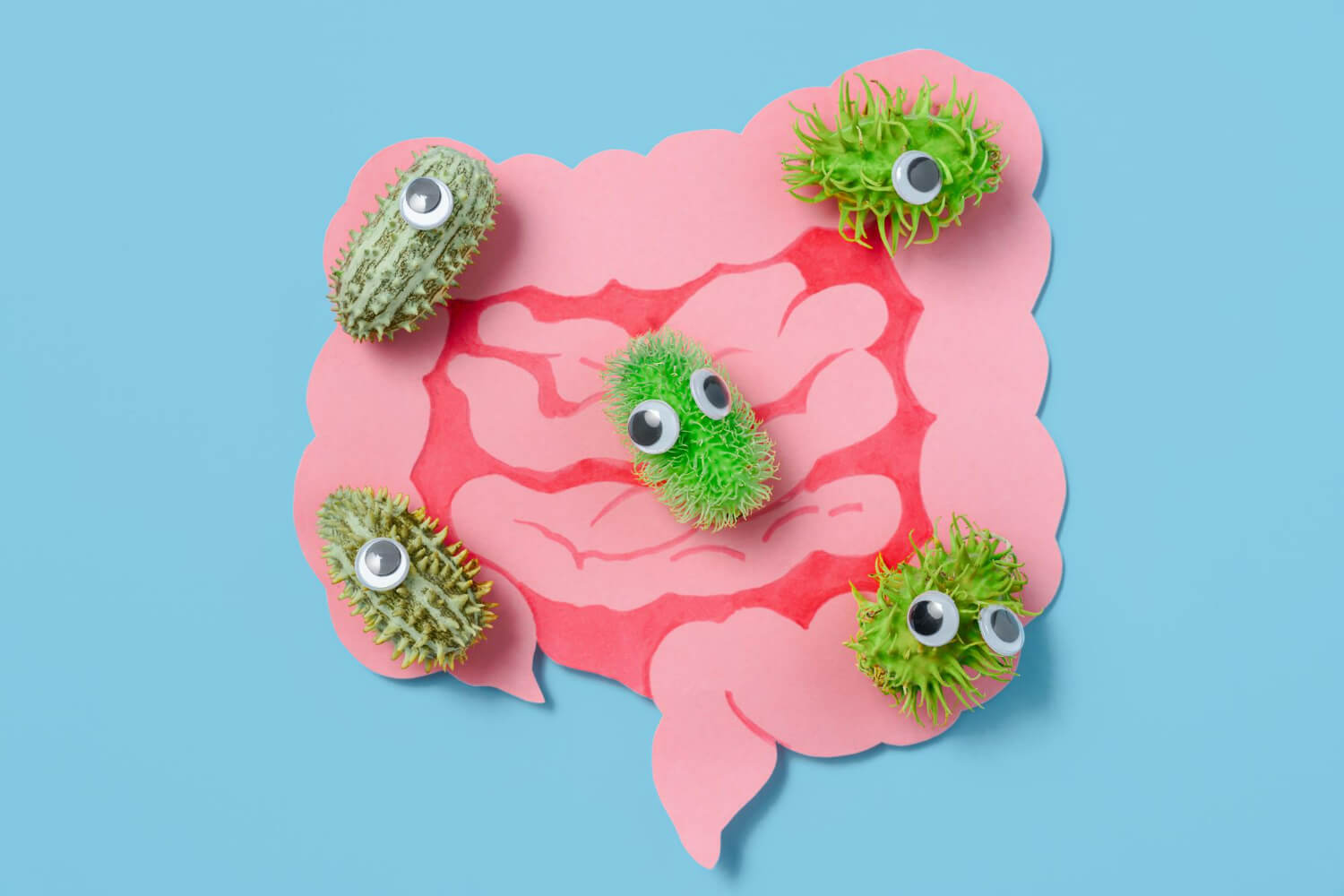 simptome microbiom intestinal dezechilibrat