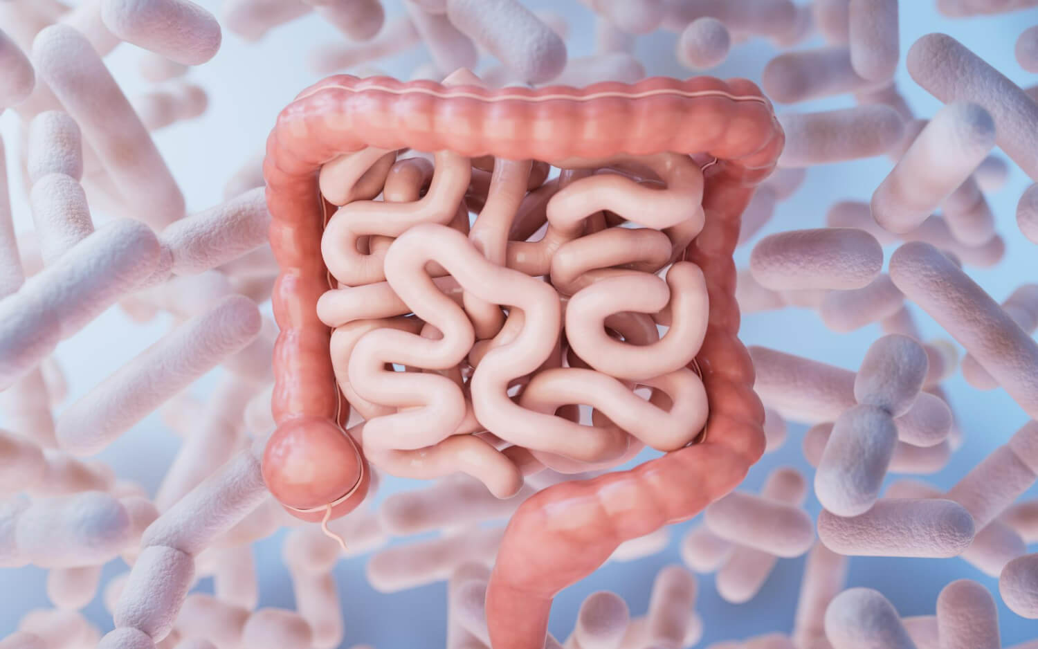 microbiom intestinal