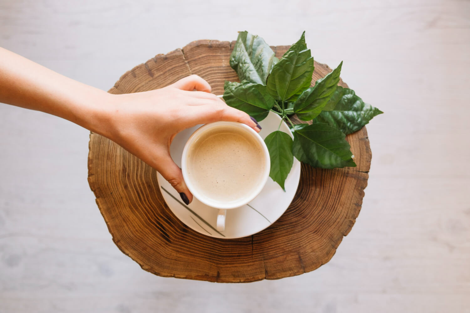 alternative sanatoase la cafea